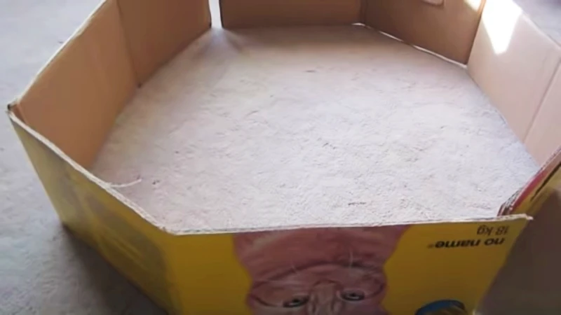 Parc pour hamster bricolage