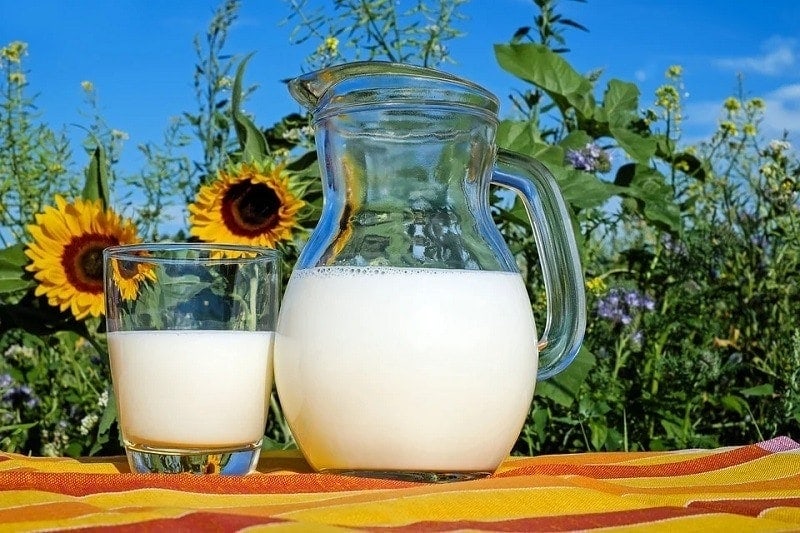 un pichet et un verre de lait à l'extérieur