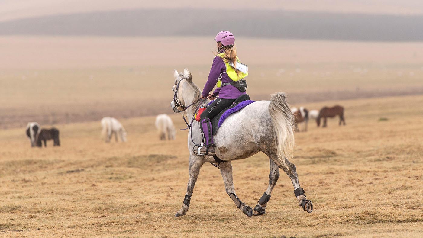 Endurance GB interdit les fouets dans le but d'améliorer le bien-être des chevaux