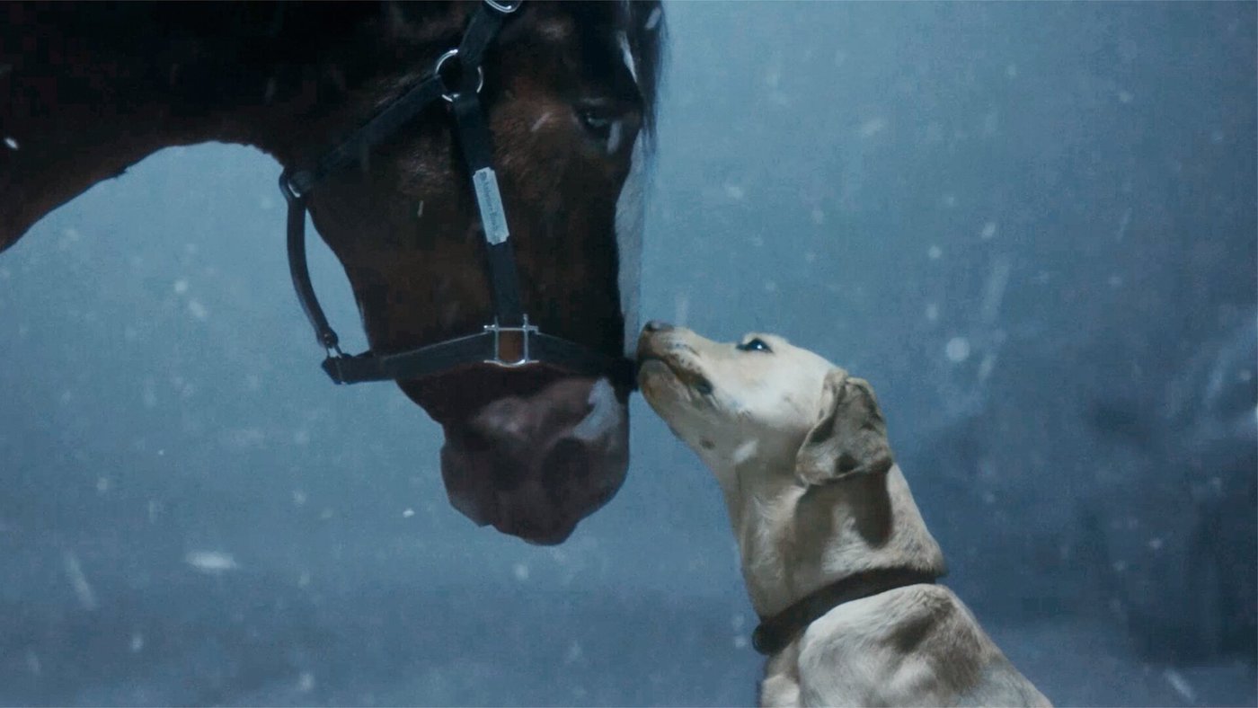 Clydesdales plus puissant qu'un blizzard dans la publicité Budweiser Super Bowl