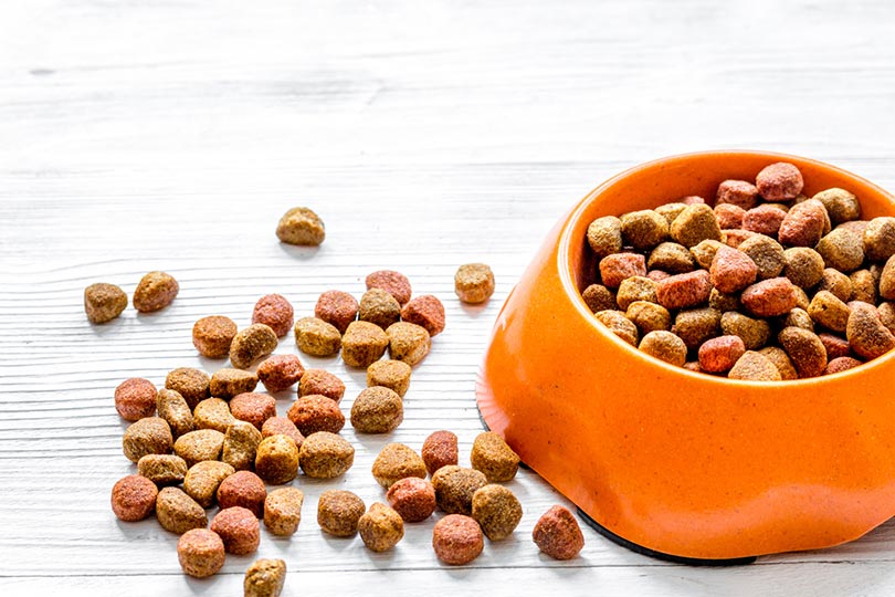 nourriture sèche pour chiens dans un bol et sur une table en bois