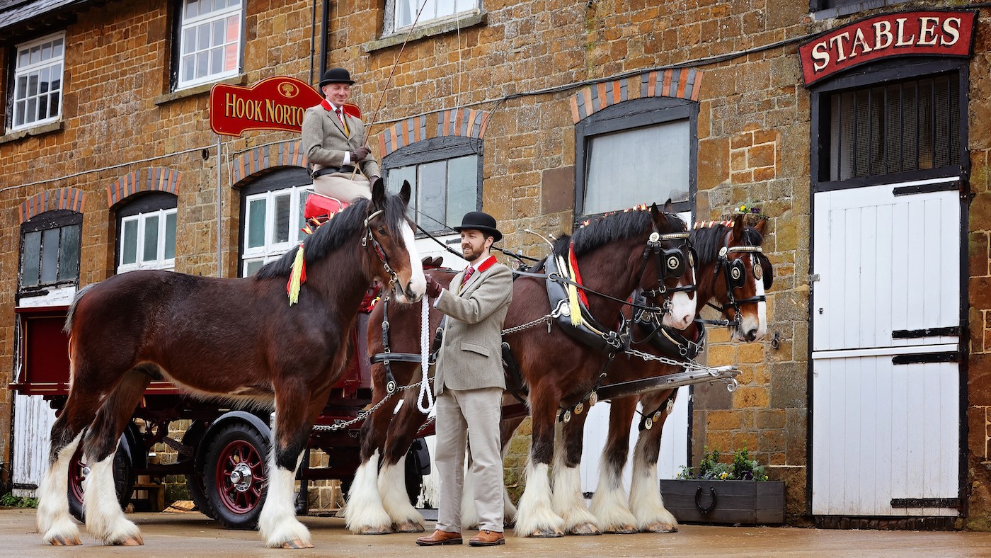 « Membres précieux de l'équipe » : la brasserie est « ravie » d'accueillir un nouveau cheval Shire en activité