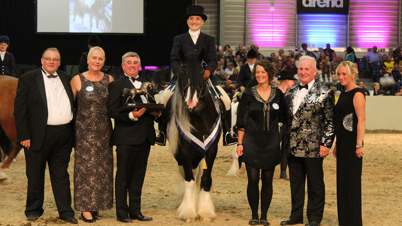 Qu'est-ce que la Rescue Equine Showing Society ?