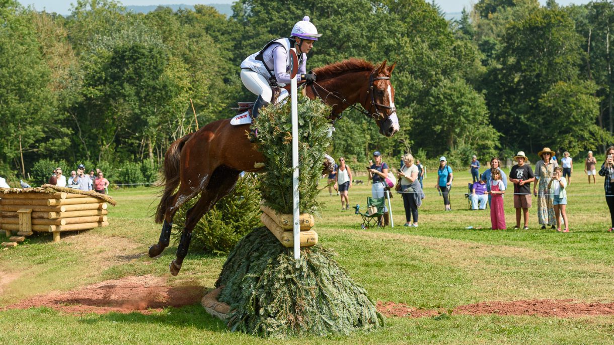 gagnant cinq étoiles parmi les chevaux de la liste