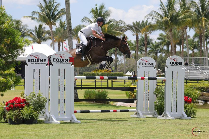 Actualités saut d'obstacles - L'équipe britannique de poneys gagne et King Edward excelle