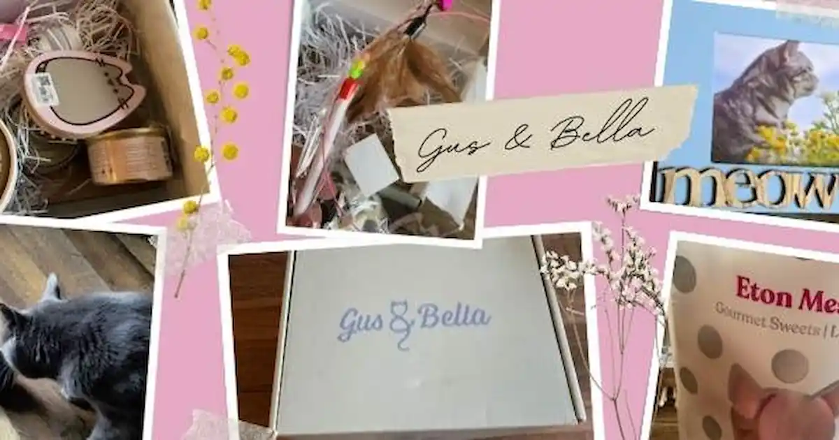 Revue de la boîte Gus & Bella