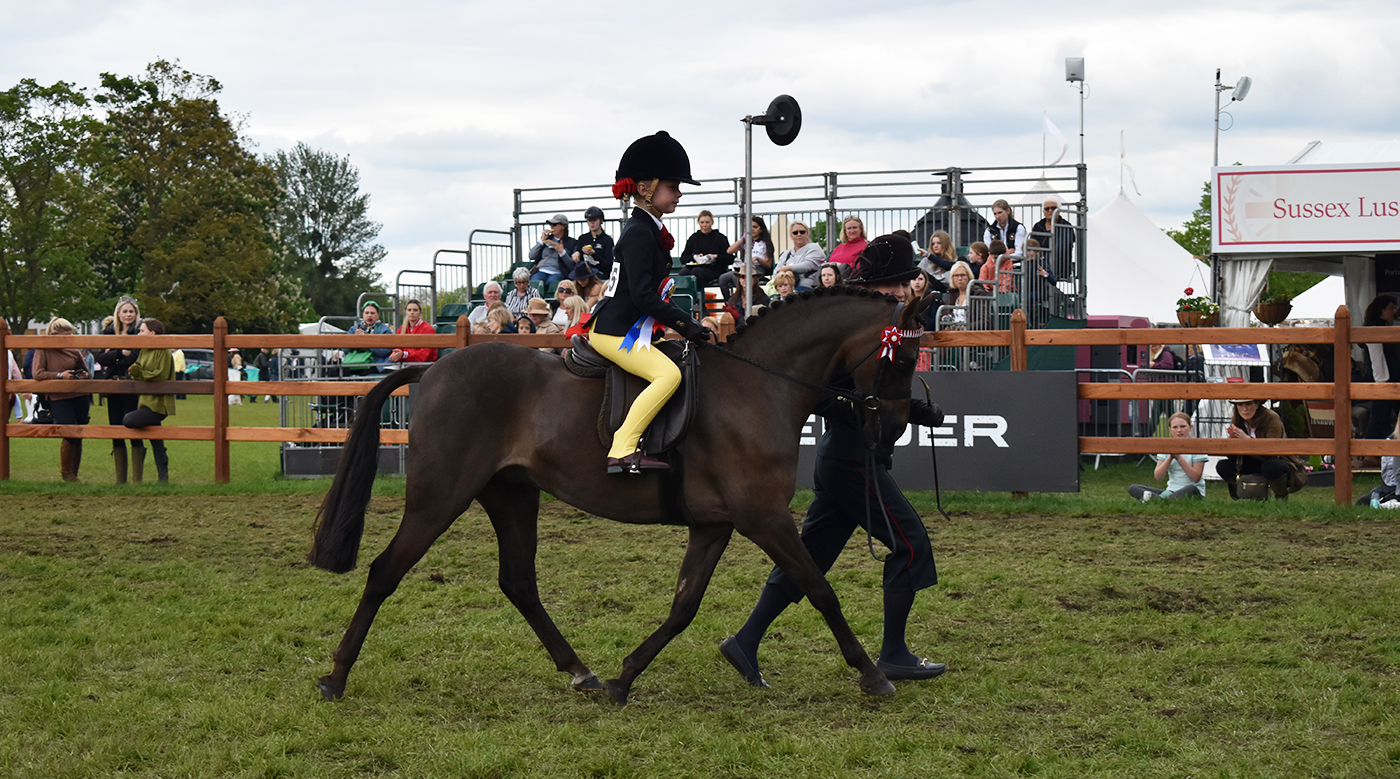 L’équipe Ahern remporte plusieurs titres au Royal Windsor 2024