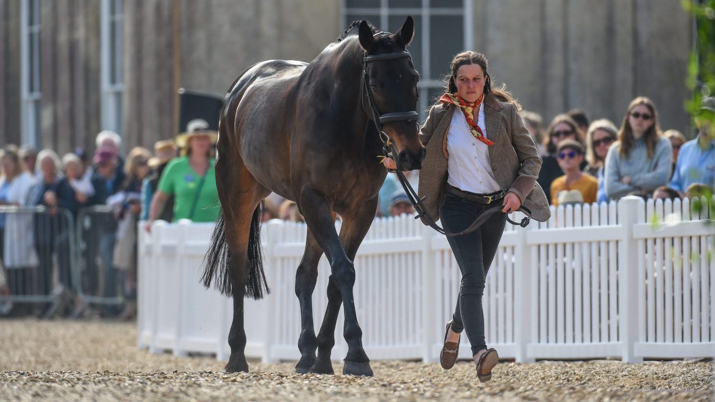 37 chevaux acceptés au trot final du Badminton Horse Trials