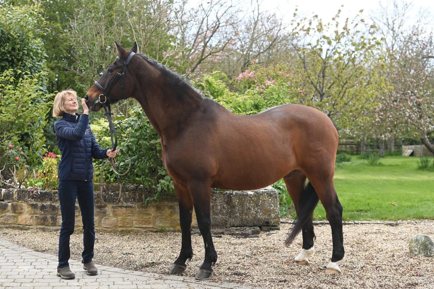 Une star olympique du cheval toujours en plein essor à 33 ans, alors que d'autres chevaux de haut niveau prennent leur retraite