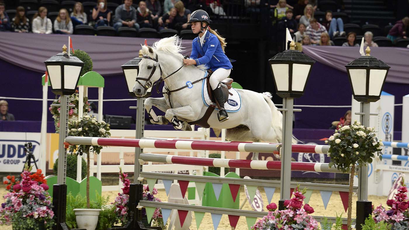 "Il vivait ses journées en faisant ce qu'il aimait" : adieu au meilleur étalon poney de 29 ans