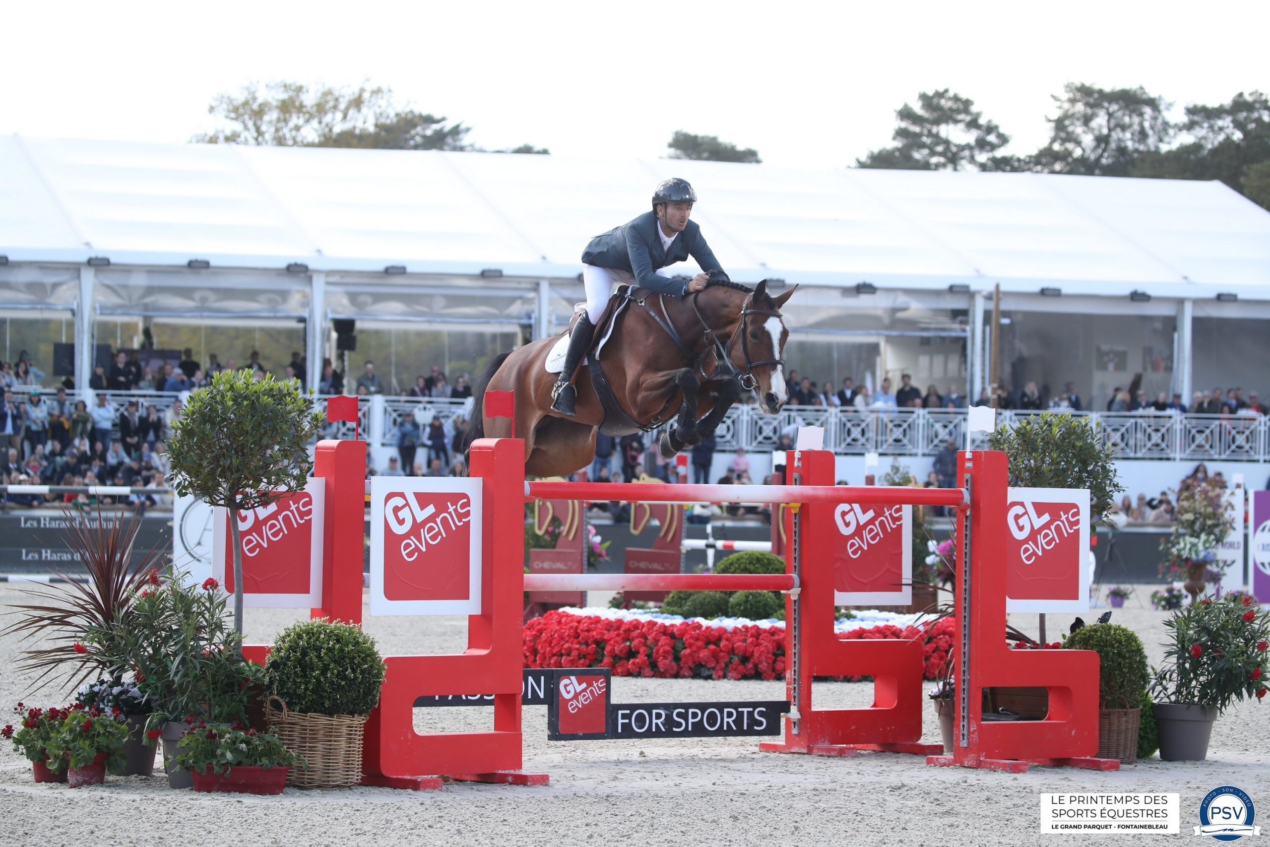 Steve Guerdat s'impose avec Dynamix De Belheme à Fontainebleau