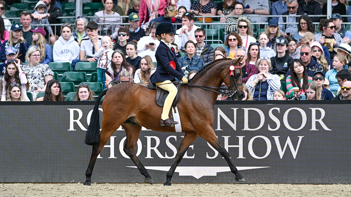 Résultats du championnat des poneys d'exposition du Royal Windsor 2024
