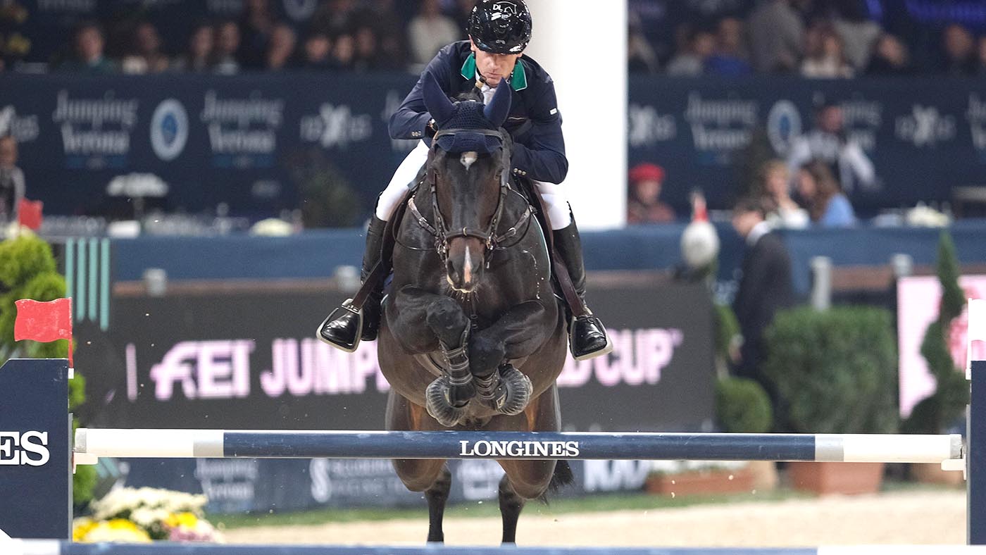Un étalon de grand prix de saut d'obstacles vendu aux enchères pour 2,3 millions d'euros