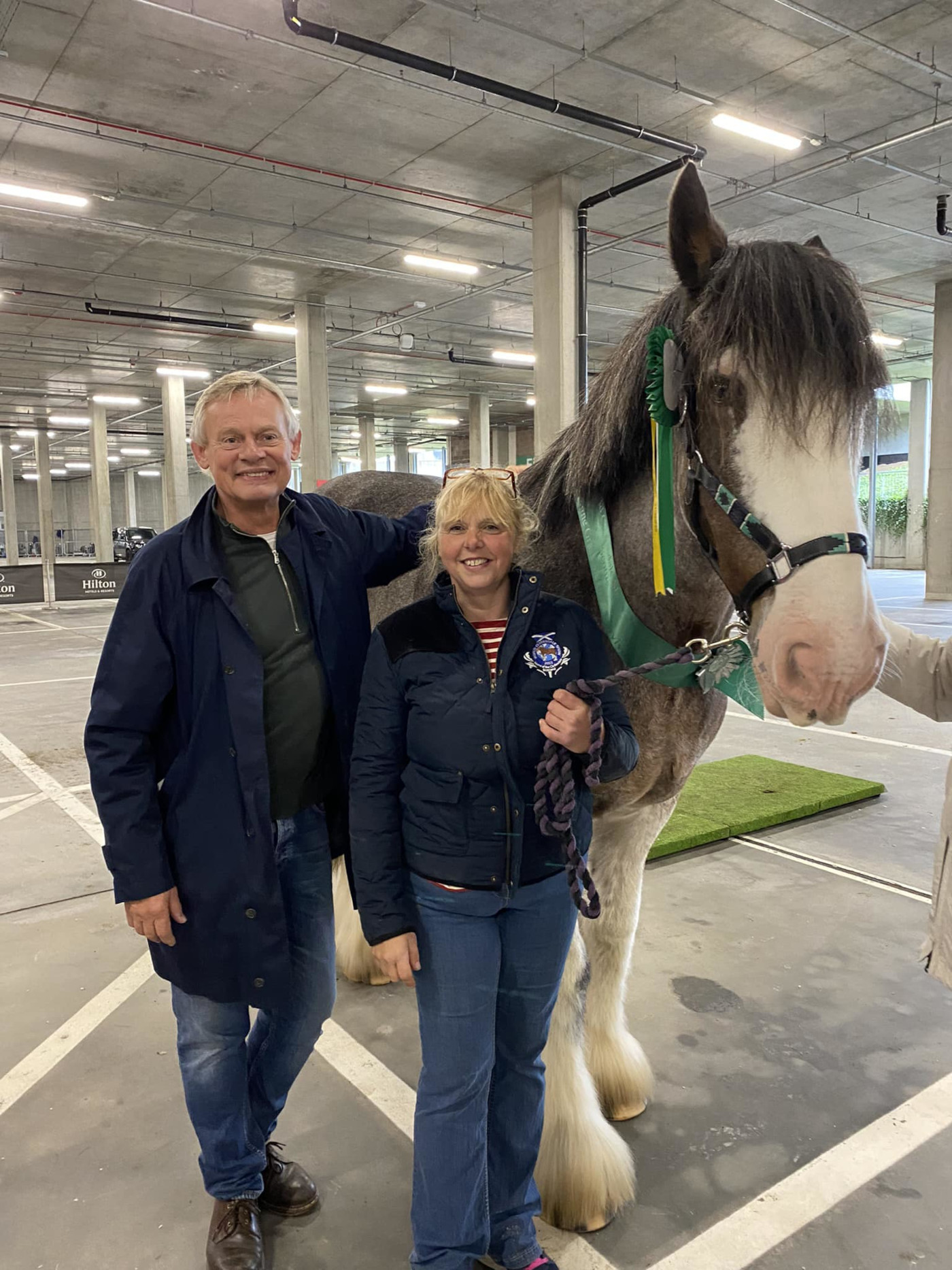 Émission en ligne lancée à la mémoire du bien-aimé Clydesdale – avec un juge célèbre de la télévision