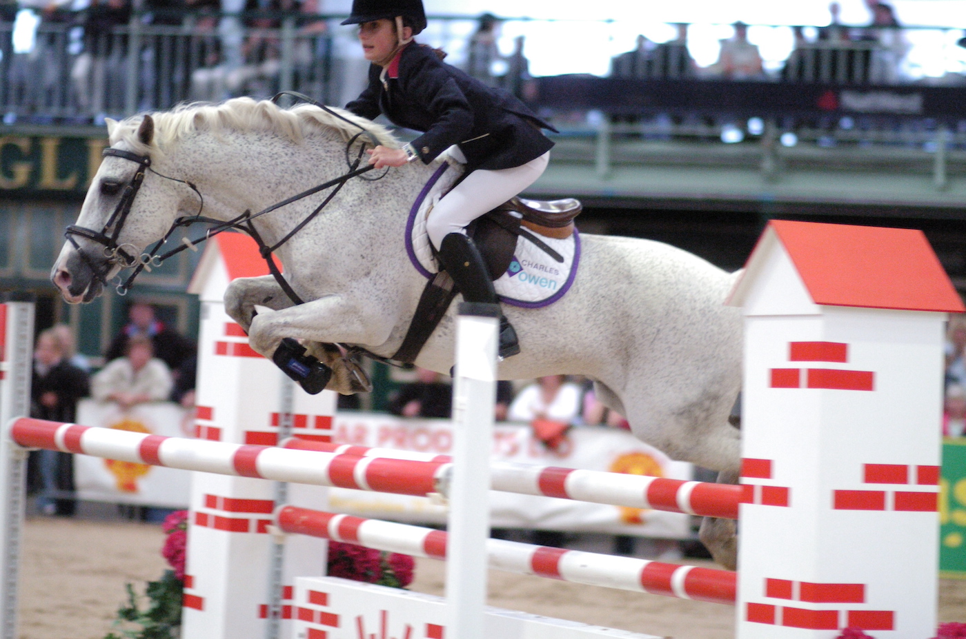 "Il était magnifique": adieu à un poney de saut d'obstacles de 30 ans qui a changé sa vie
