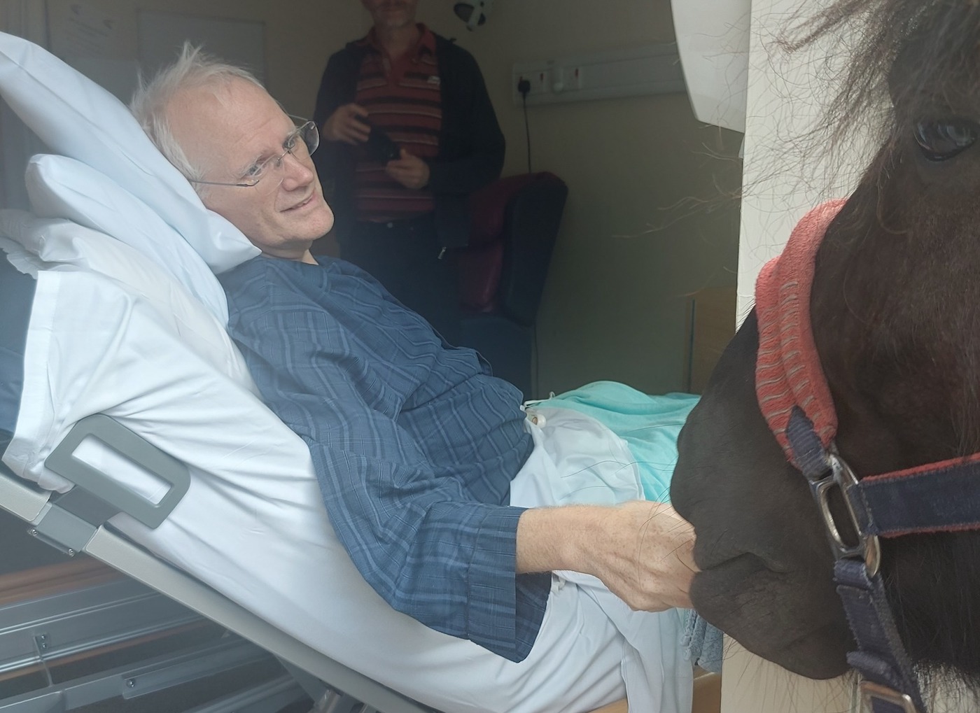 « Cela signifiait beaucoup » : joie et larmes alors qu'un homme revoit son cheval bien-aimé une dernière fois avant sa mort