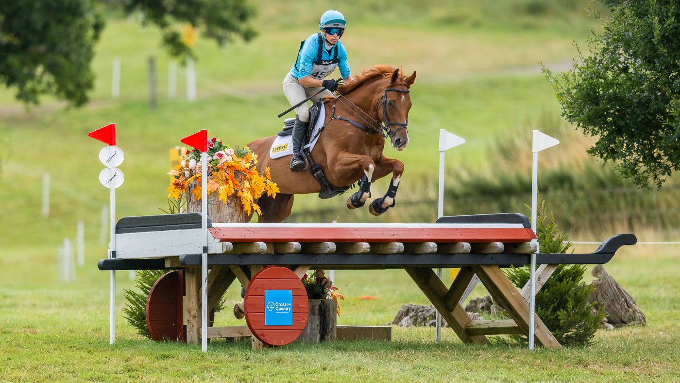 Championnat britannique de chevaux de course reconvertis – Taylor remporte la victoire