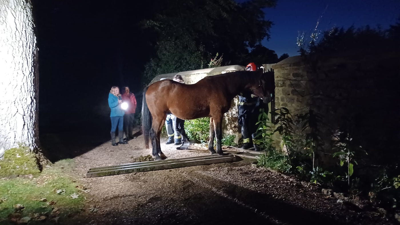 Un cheval échappé retrouvé coincé dans une grille à bétail après l'avoir traîné le long de la route