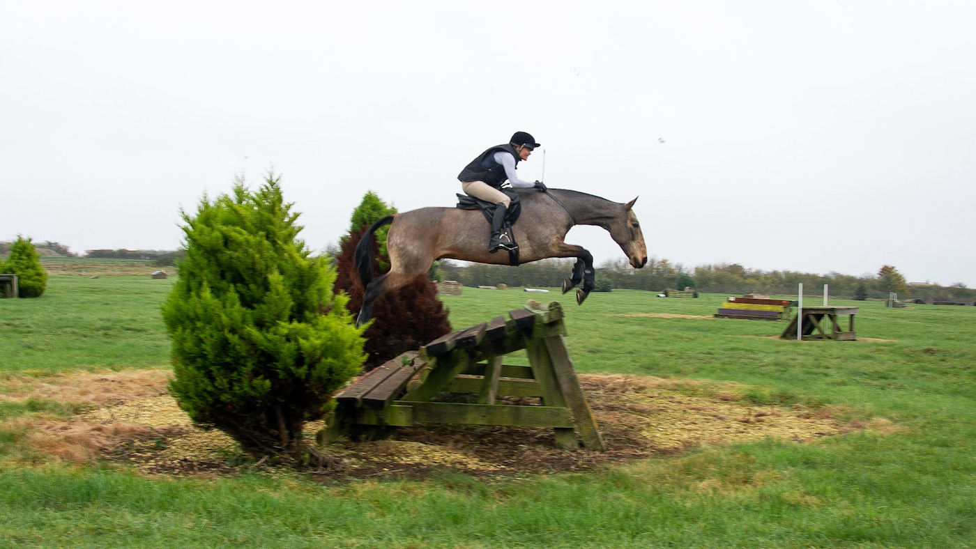 Le lien cheval-humain illustré : combinaison saut-cross – et feu – sans bride