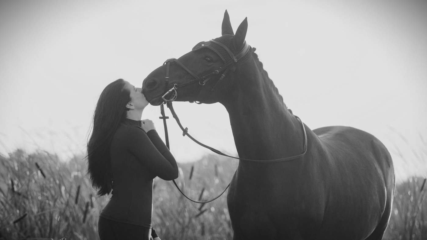 « Elle ne méritait pas de mourir comme ça » : la propriétaire au cœur brisé organise une action de sensibilisation après que son cheval a été euthanasié sur la route