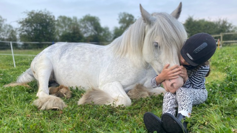 Une jument « bat le drapeau » des poneys de sauvetage et crée une « amitié éternelle » avec un jeune cavalier