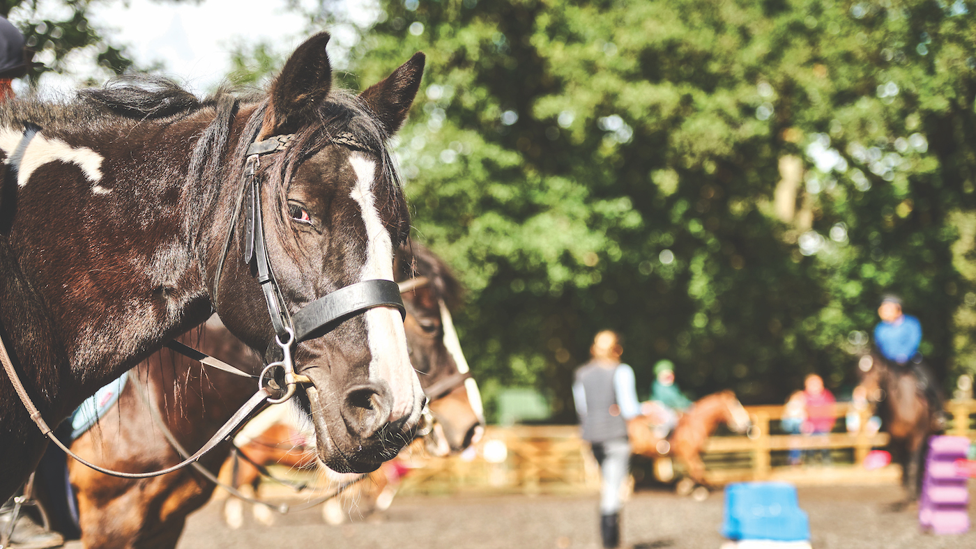 Accueillir tout le monde chez les chevaux profite aux gens – et à l’industrie