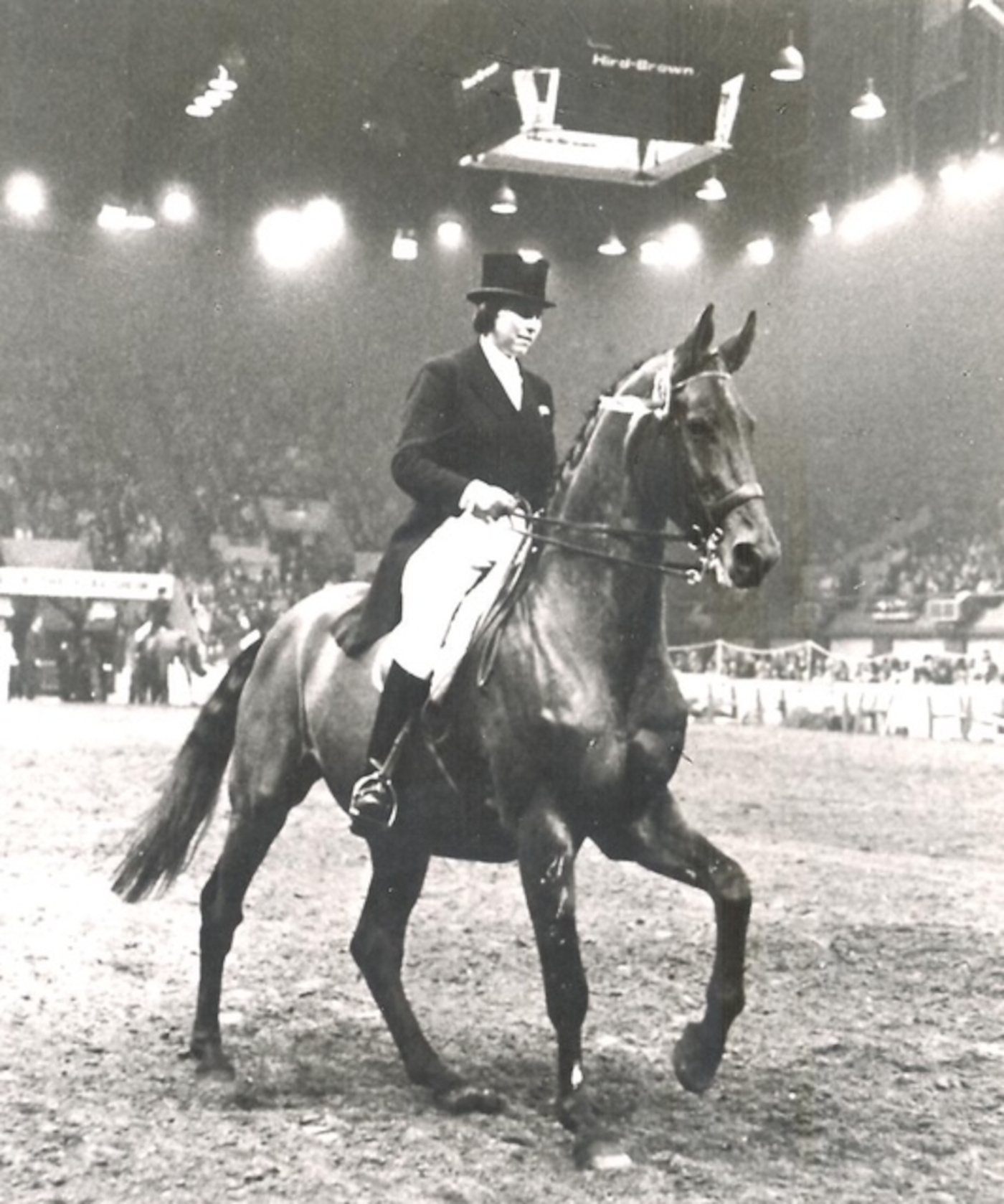 Adieu au cavalier de dressage olympique britannique Domini Morgan