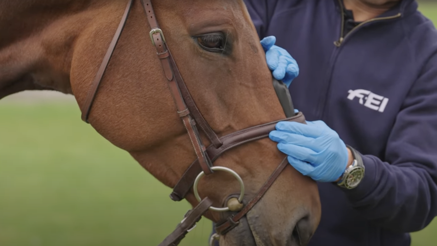 Changements de règles de dressage britanniques, y compris l'appareil de mesure