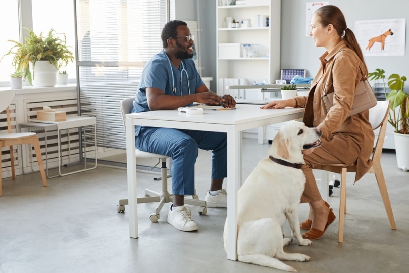 propriétaire de chien parlant au vétérinaire
