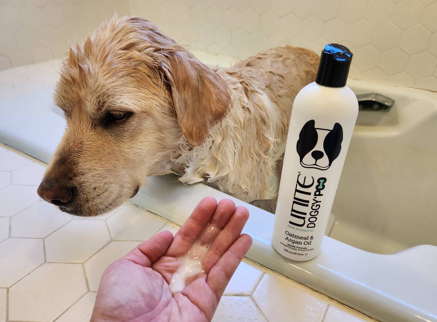 Unite Doggy'poo Review - Utilisation du shampooing