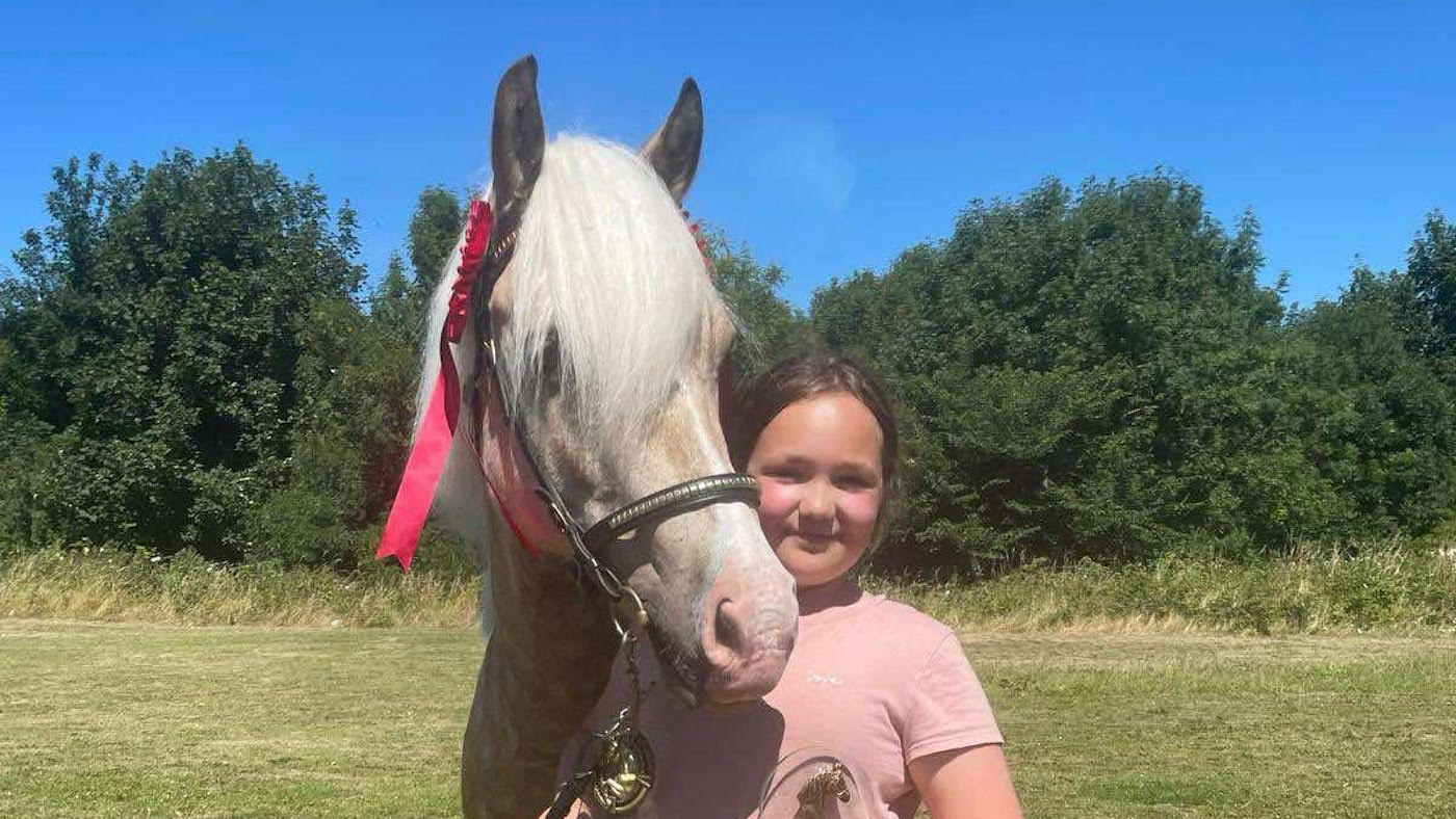 Appel des propriétaires au cœur brisé après Horse chassé sur la route par un chien «les jambes brisées»