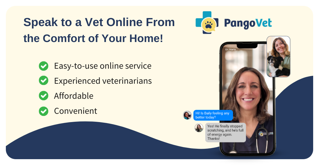 Pangovet_mention-in-content pour pangovet2
