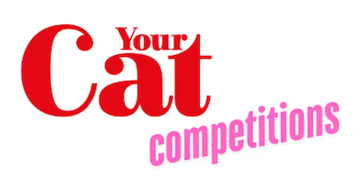 Concours - Votre chat
