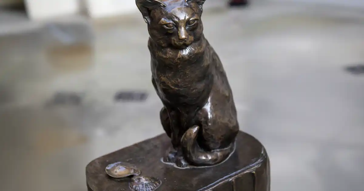 Guide touristique: Hodge Statue - Votre chat