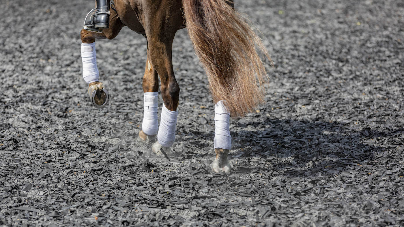 L'organisateur de dressage David Crockford condamné pour voyeurisme
