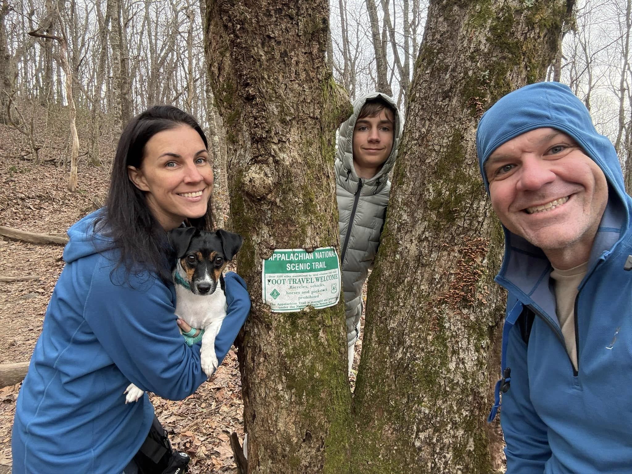 La ferme danoise-swedish 'pesto' est le chien d'aventure de la famille Brown
