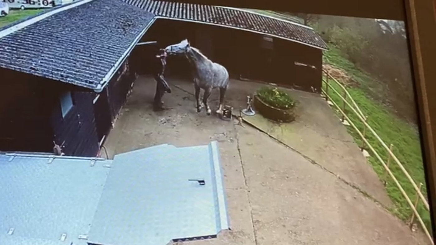 La suspension pour Farrier qui tenait Horse toujours pour le frapper dans la tête avec un marteau
