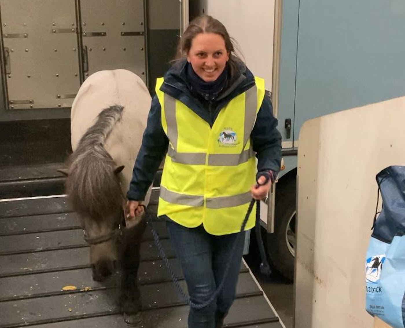Les poneys de Shetland volent la «classe d'affaires» à Hong Kong et arrivent «se sentir fabuleux»
