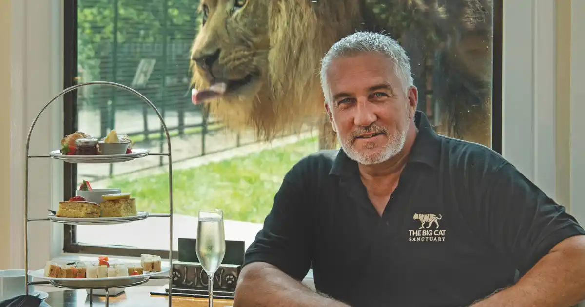 The Big Cat Sanctuary - Votre chat