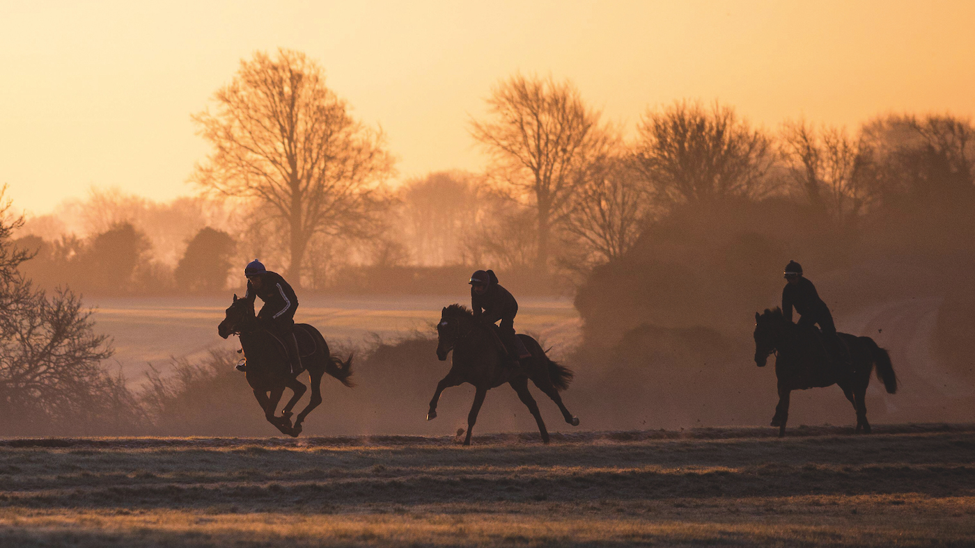 Une nouvelle étude trouve des gènes qui peuvent augmenter le risque de fracture dans les chevaux de course