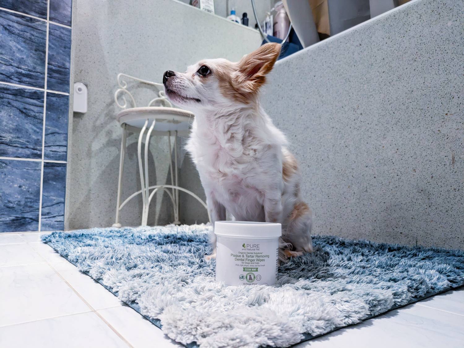 Pure et naturel Pet Dental Finger les lingettes - Produit avec chien dans la salle de bain