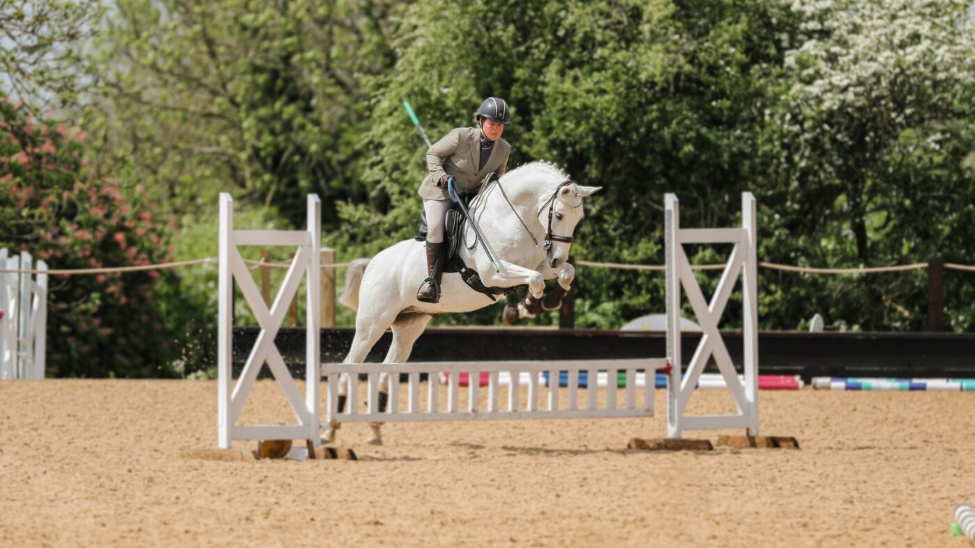équitation de travail