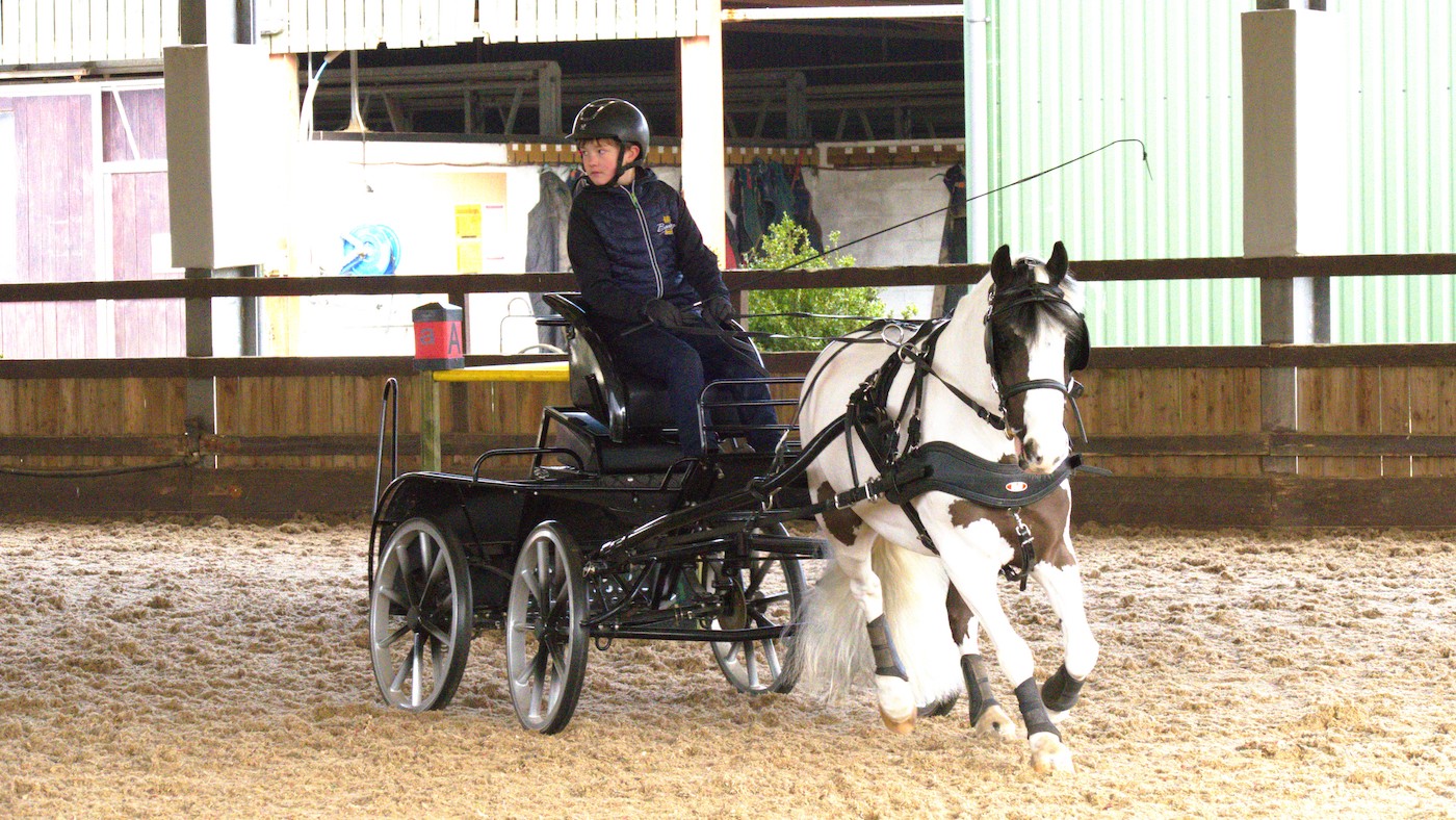 RSPCA Pony qui a brillé des victoires en dressage lors du premier salon de la conduite