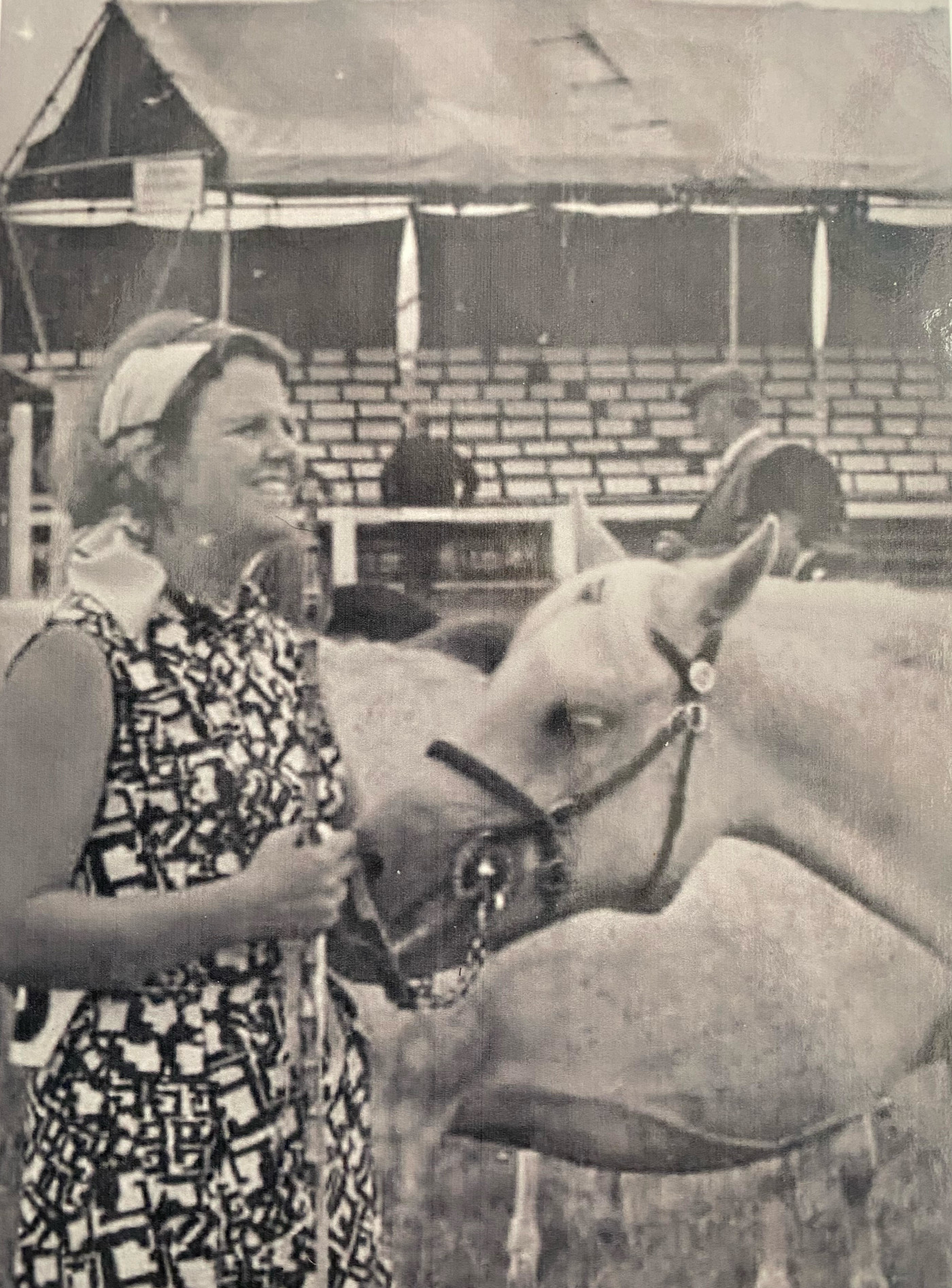 Adieu à l'éleveur de poney, producteur et juge Elizabeth Anne Bates