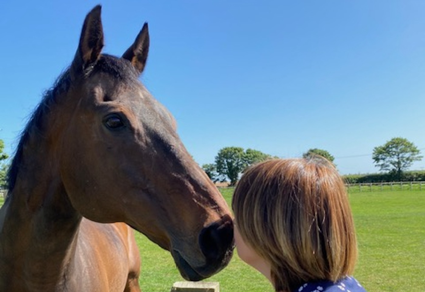Le champion du spectacle à cheval de l'année, Gosh, est décédé à l'âge de 32 ans