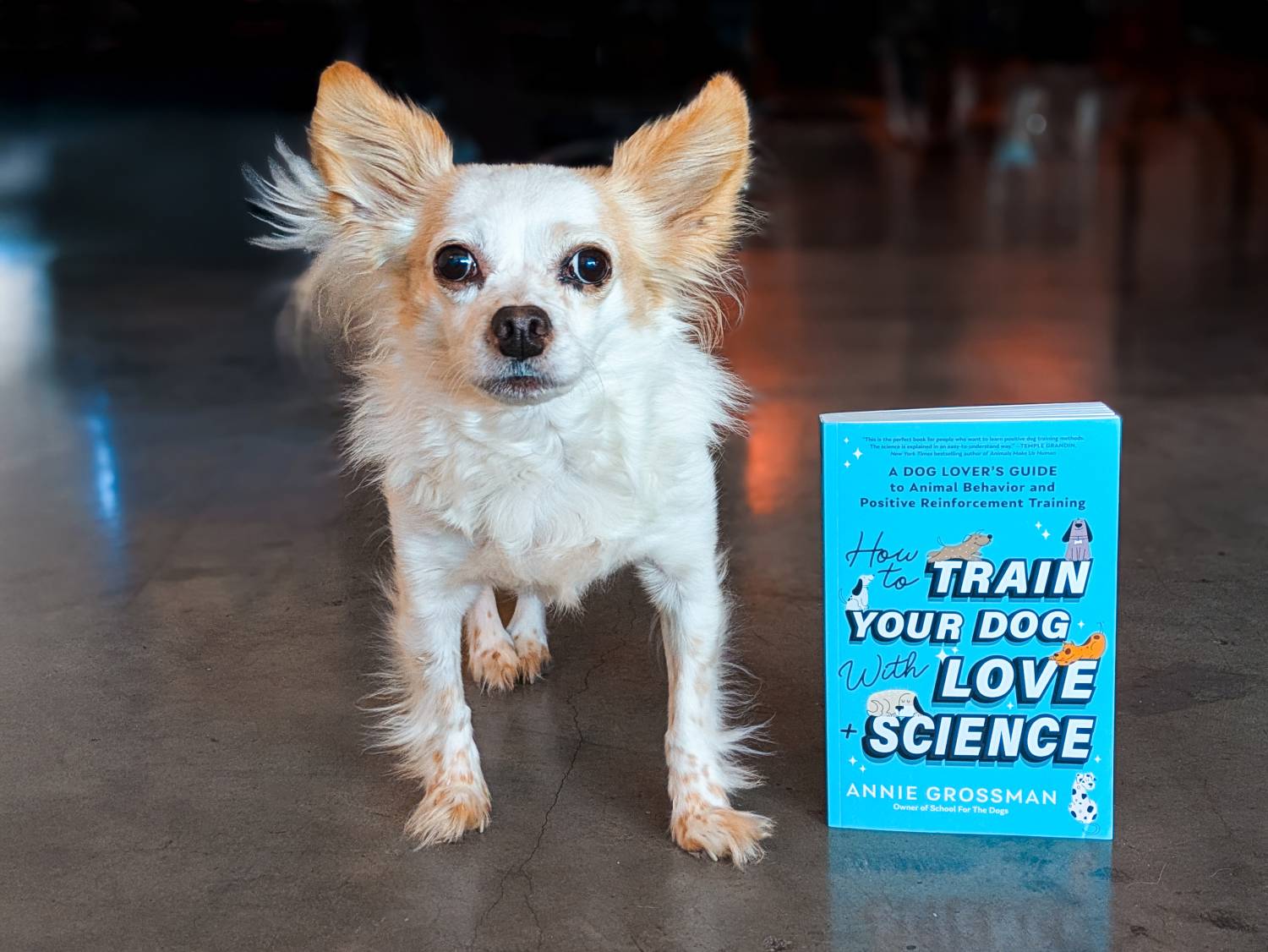 Comment former votre chien avec l'amour + la critique de livre scientifique - chien avec le livre