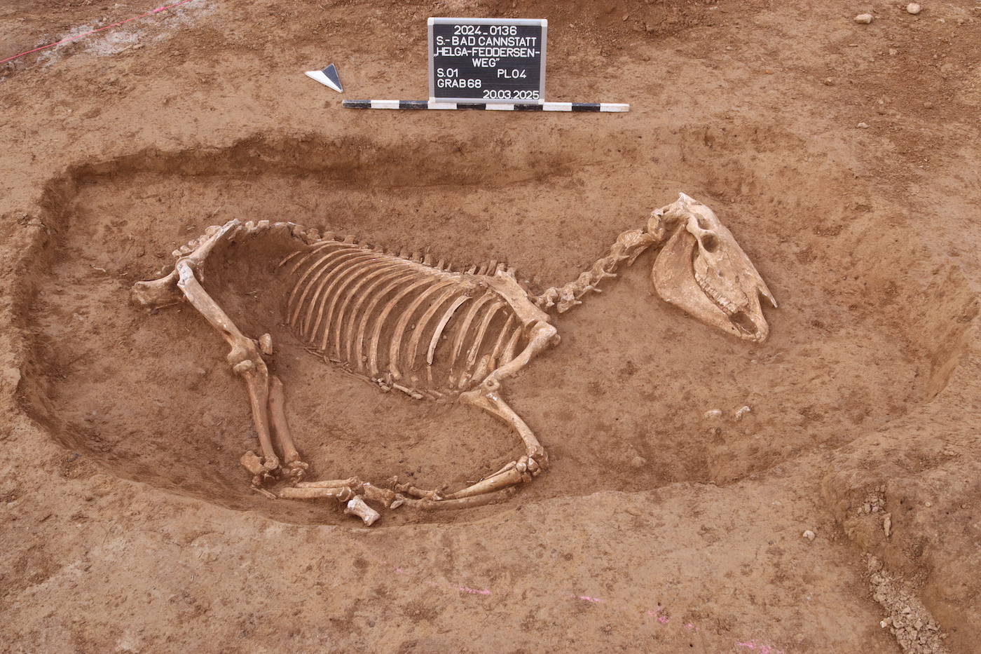 Le chagrin du soldat à la mort de Horse a montré 1 800 ans plus tard comme le squelette romain le trouvait avec des cadeaux graves