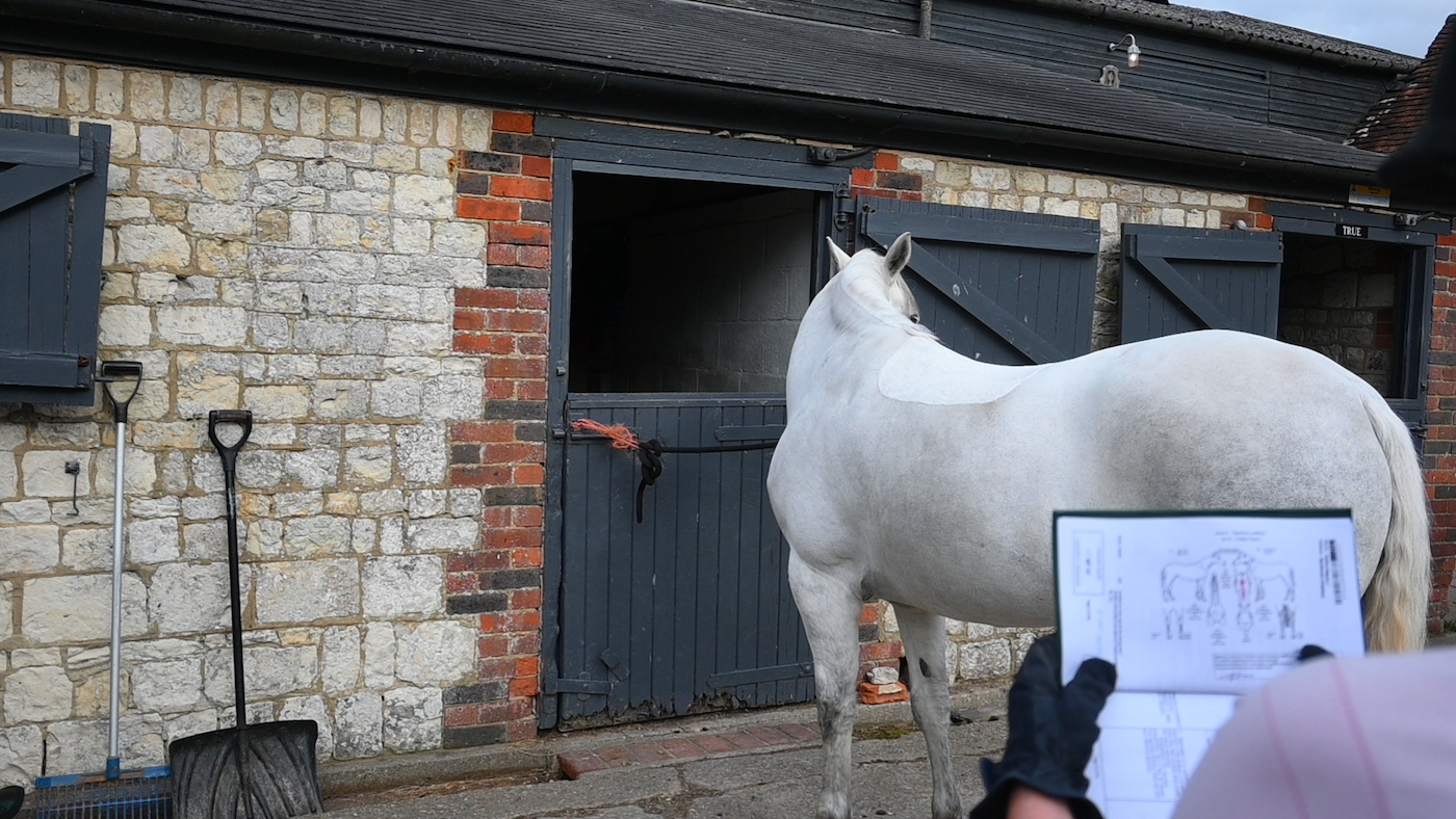 Le marchand de chevaux `` extrêmement déviant '' qui a dit «mensonge après mensonge» évite la prison pour fraude