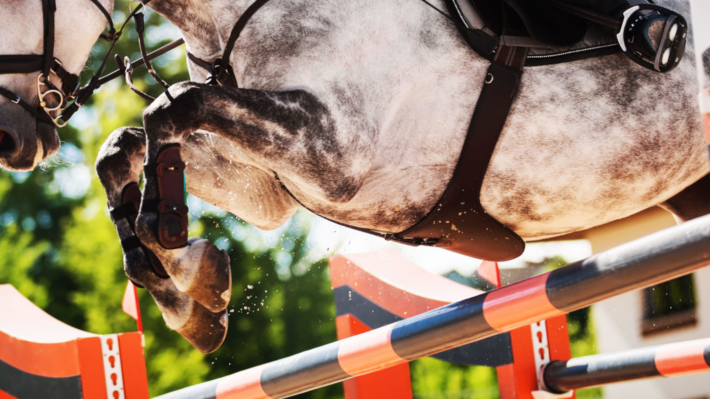 Le showerdjumpers devrait-il prouver leur compétence avant de monter?