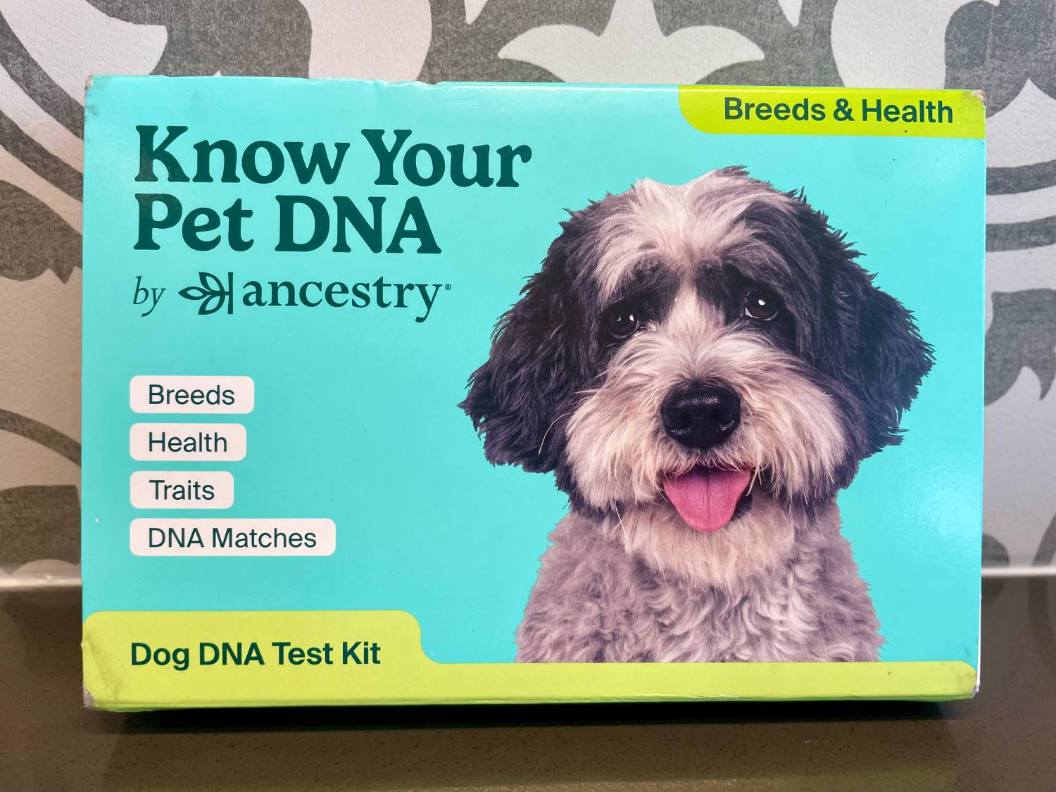 PGV Know Your Pet ADN par Ancestry Review - Box Kit